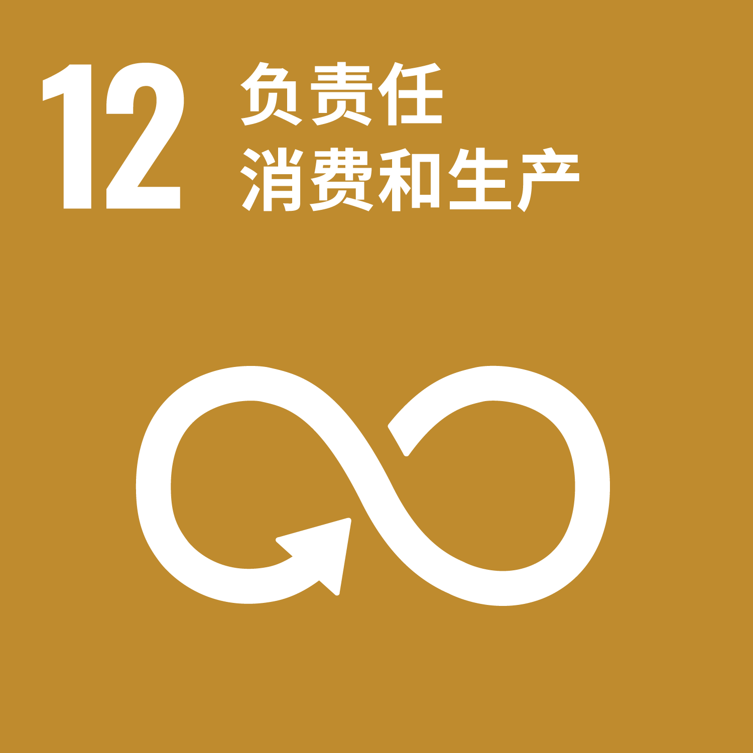 SDGs12